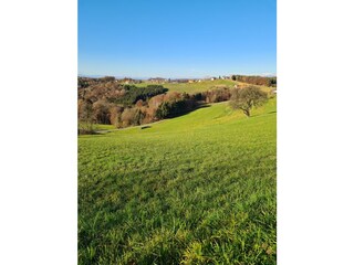 Wanderung Ende November