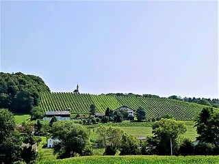 Buschenschank in St. Stefan i.R.