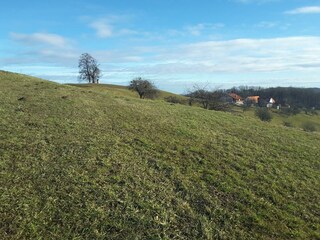 30. Dezember zum Neuberg