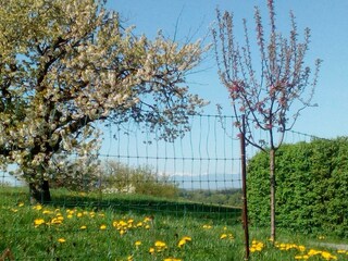 Blick auf die Kärntner Berge