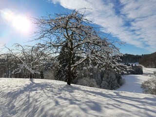 die Wintersonne tanken
