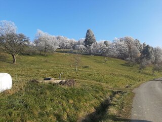 Wanderung im Dezember