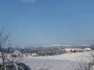 Blick zur Bergschenke Monschein mit Weinberg
