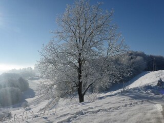 Wintereindrücke