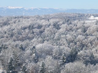 heimwärts vom Neuberg zum Chalet