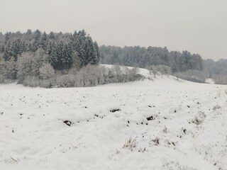 Winterwunderland