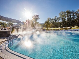 Copyright-Parktherme-Bad-Radkersburg_Harald-Eisenb