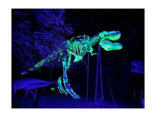 TRex leuchtet