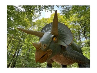 saurier_triceratops-unten