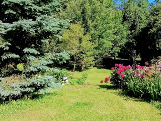 IMG_20240524_091619~2