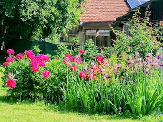 IMG_20240524_091745~2