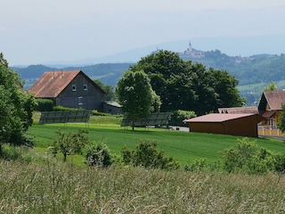 Kellerstöckl Pachler