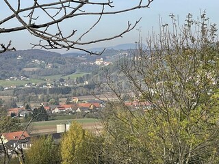 Kellerstöckl Pachler