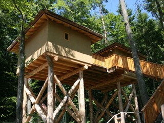 6 Meter hohes Baumhaus Afrika Classic im Styrassic Park in Bad Gleichenberg
