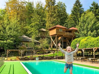 Baumhaus Hotel Anlage mit Salzwasserpool in Bad Gleichenberg im Styrassic Park
