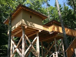 6 Meter hohes Baumhaus Afrika Classic im Styrassic Park in Bad Gleichenberg