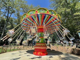 Kettenkarussell im Baumhotel des Styrassic Parks