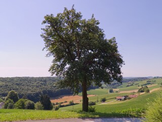 Aussicht