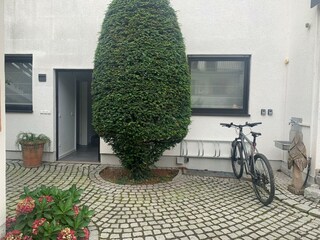 IMG_7018