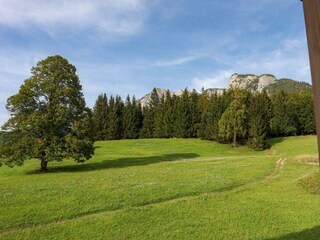 Pension Trisselwand, Grundlsee, Wiese