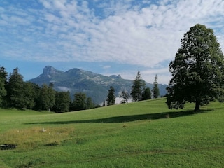 Ferienwohnungen Trisselwand, Grundlsee, Wald