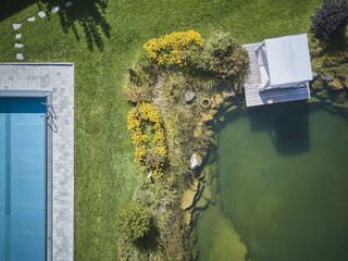 Aussenpool&TeichVogel