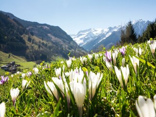 Frühling