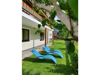 Wellness_161525