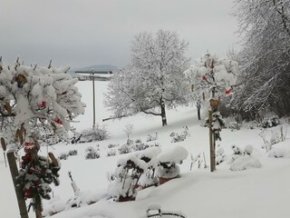 Landhausgarten im Winter