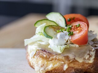 vegetarischer Donaustandler