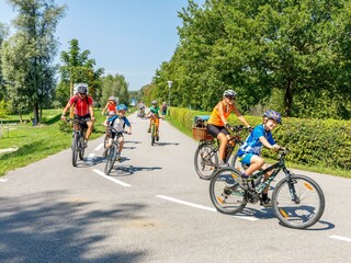 Donauradweg in Au an der Donau