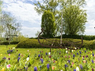 Frühling am Campingplatz