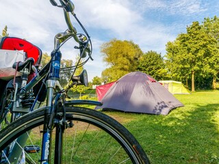 Zeltplatz für Donauradfahrer