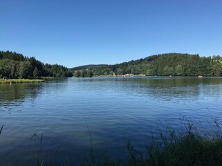 An der Donau