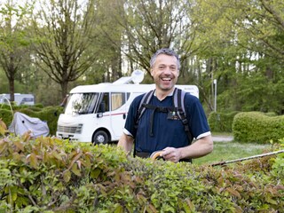 der Donauwellenschnitt