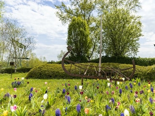 Frühling am Campingplatz