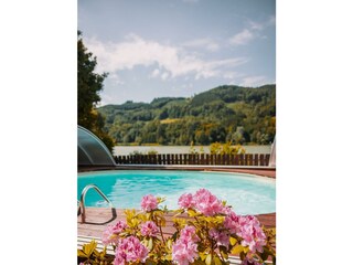 Pool Blumen
