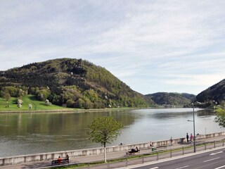 19_Donaublick