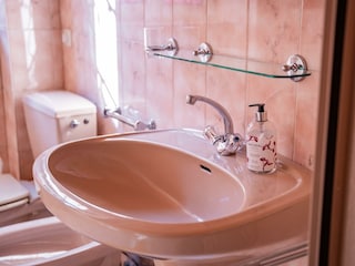 16_Apfel_Waschbecken