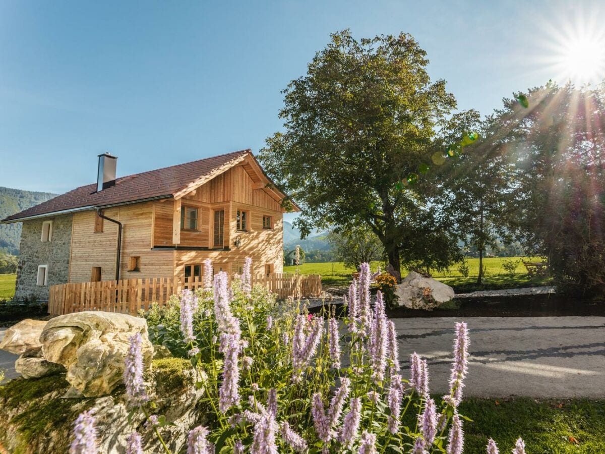 Sommertag am Spitzenhof