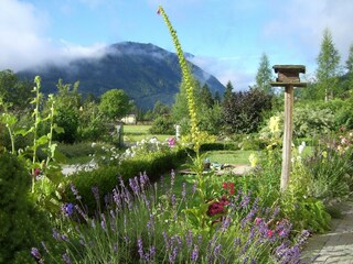 Blick von Terasse