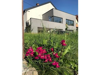 Außenansicht Haus Taferner in Hall