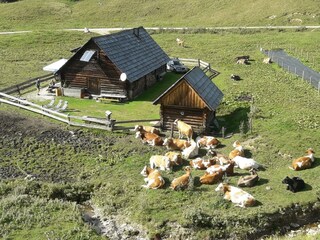 Huberalm