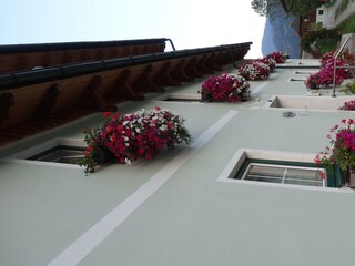 DSC03555
