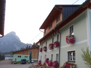 DSC03559