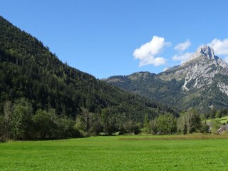 DSC03569