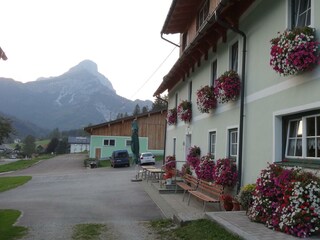 DSC03558