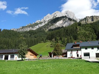DSC03568