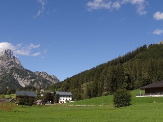 DSC03579