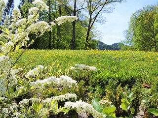Blick in den Schlosspark